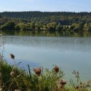 Etang des bercettes