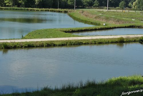 Etang des bievres 2015 09 09 06