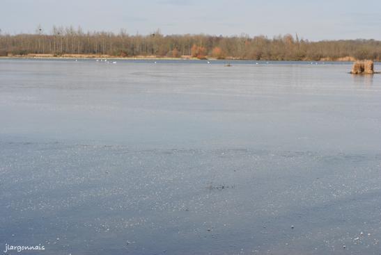 Etang le roi 14