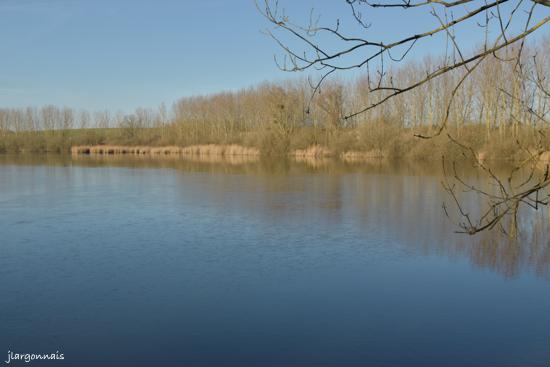 Etang le roi 18