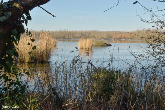 Etang le roi 20