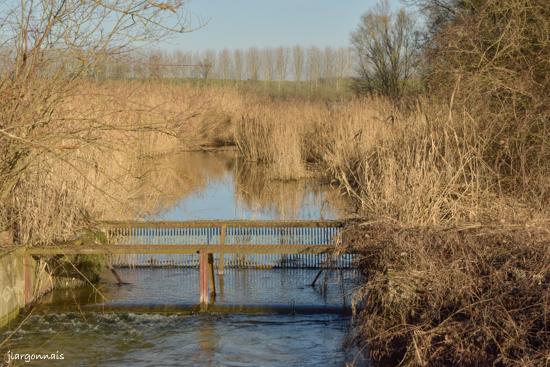 Etang le roi 21