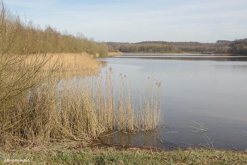 Etangs de cha trices 3