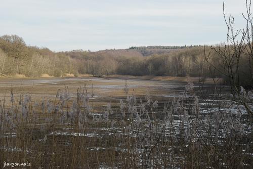 Etangs de cha trices 8