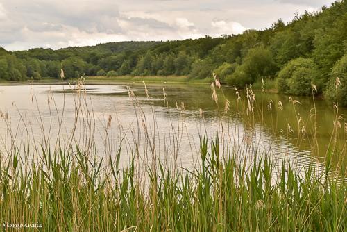 Etangs de cha trices 9