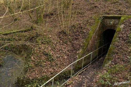 Foret communale de sainte menehould 18