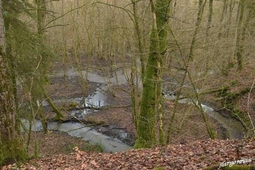 Foret communale de sainte menehould 20