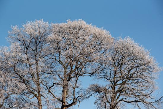 Givre max chaffaut 2