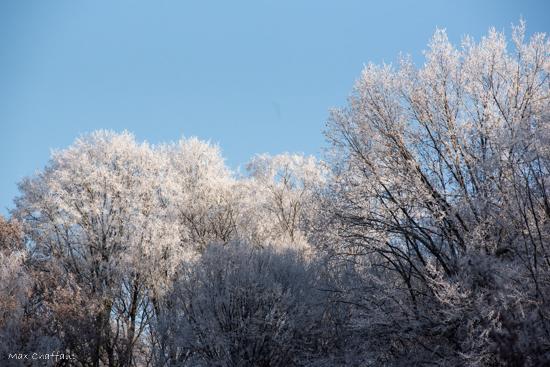 Givre max chaffaut 3