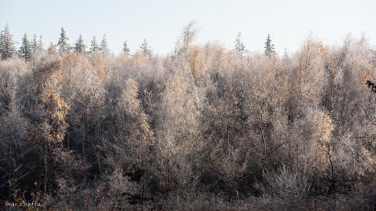 Givre max chaffaut 4