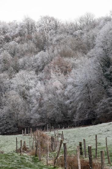 Givre max chaffaut