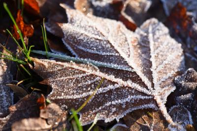 Givre1612 0016c