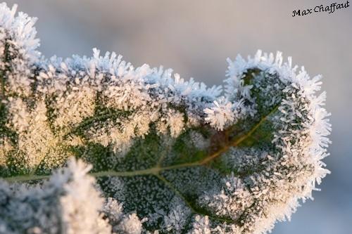 Givre20 11 0006c