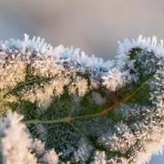 Givre20 11 0006c