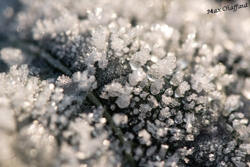 Givre20 11 0047c