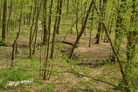 Gorge aux couleuvres 2017 3