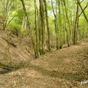 Gorge aux couleuvres 2017 5