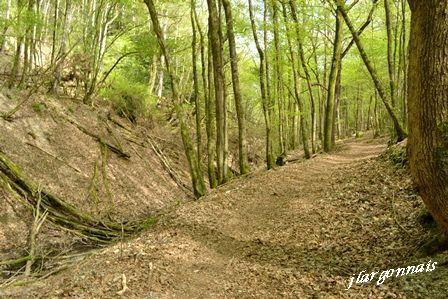 Gorge aux couleuvres 2017 5