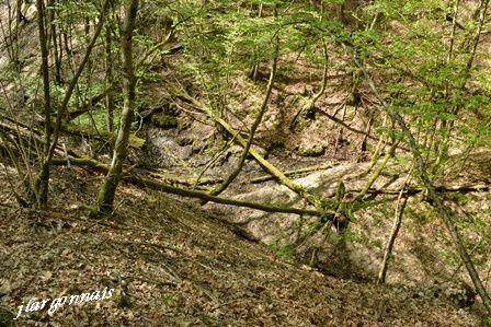 Gorge aux couleuvres 2017 7