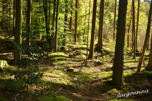 Haute chevauchee 2014 10