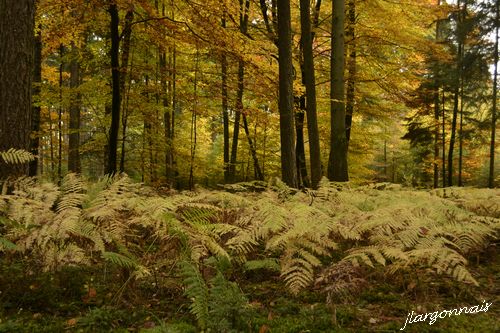 Haute chevauchee 2015 10 29 8