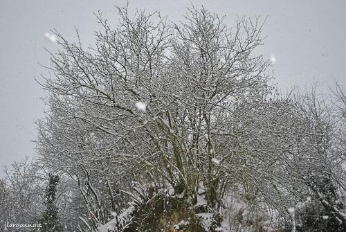Hiver 2010 2