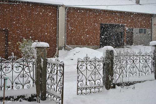 Hiver 2010 3