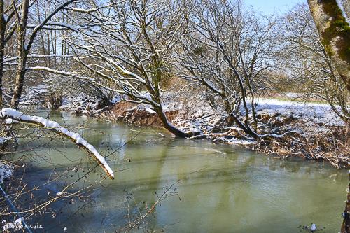 Hiver 2013 2