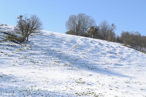 Hiver 2013 3
