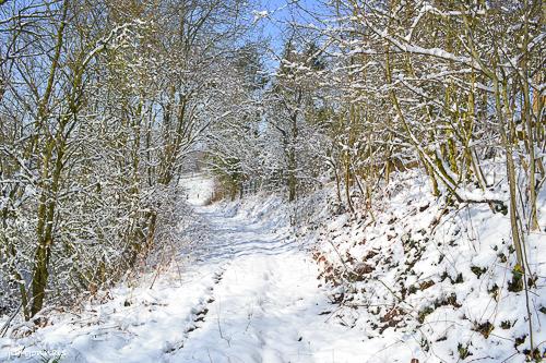 Hiver 2013 5