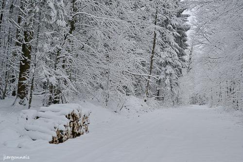 Hiver 2019 3