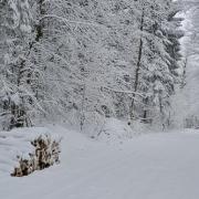 Hiver 2019 3