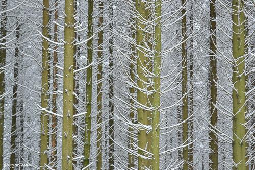 Hiver 2019 4