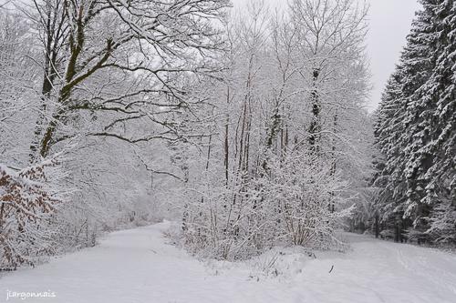 Hiver 2019 5