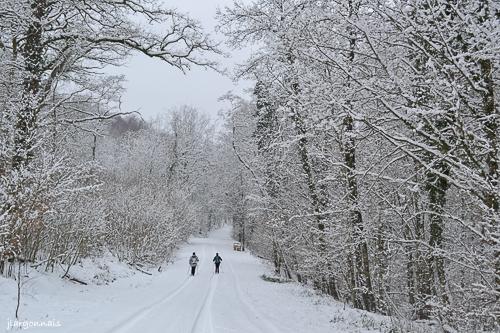 Hiver 2019 8