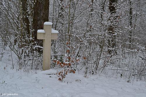 Hiver 2019 9