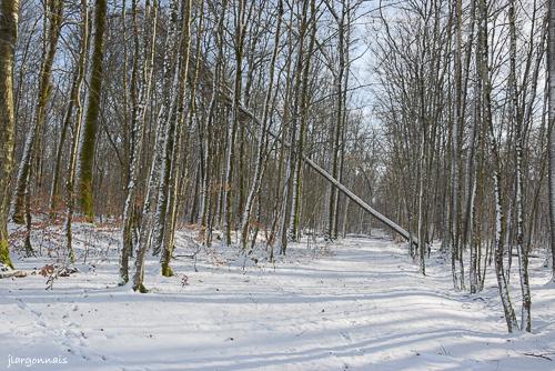 Hiver 2024 10