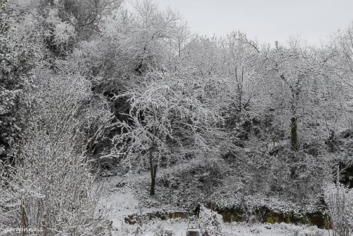 Hiver 2024 2