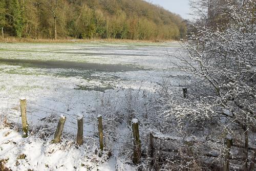 Hiver 2024 3