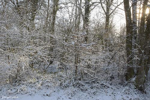 Hiver 2024 7