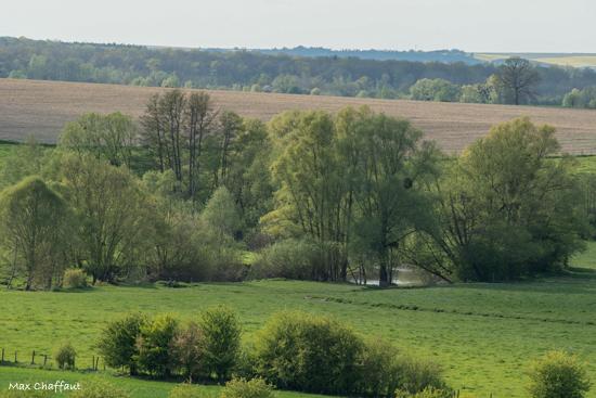 Printemps en argonne 5