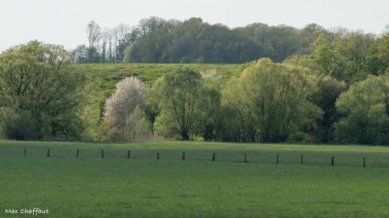 Printemps en argonne 7