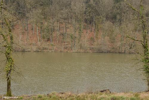 Route forestie re des etangs 2