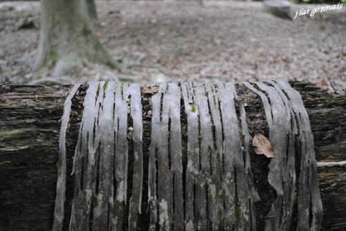 Scultures naturelles 11