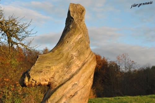 Scultures naturelles 5