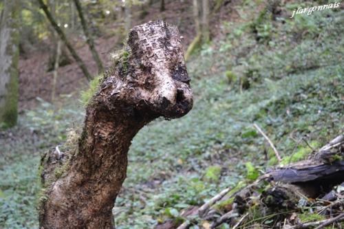 Scultures naturelles 9