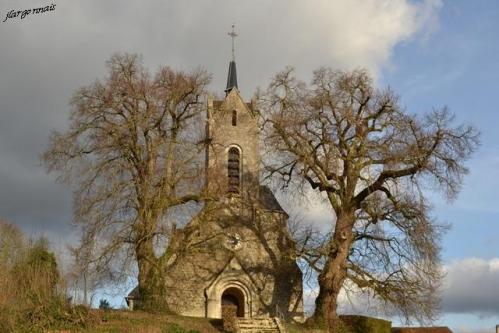 Tilleuls st thomas en argonne 8