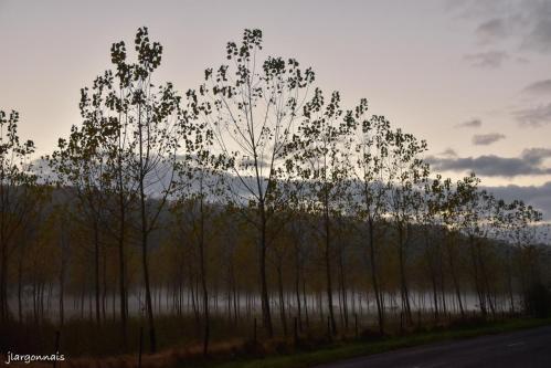 Valle e de la biesme brume 2021 11