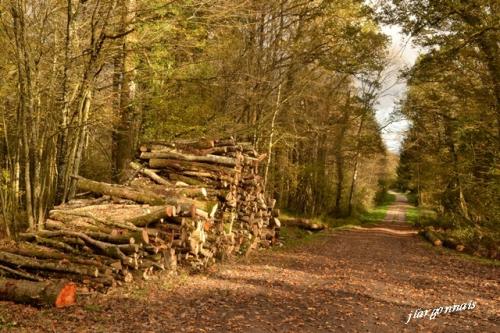 Varennes en argonne gr14 10