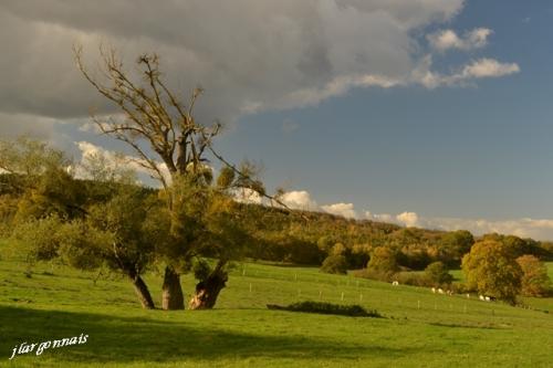 Varennes en argonne gr14 12